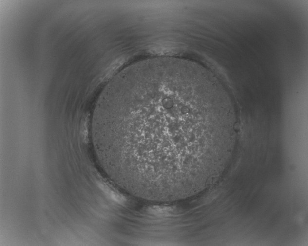 X0000077390065200610272023