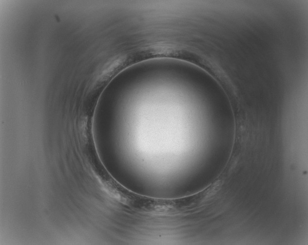 X0000077390066200610272023