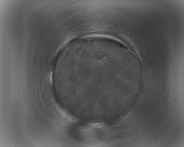 X0000077390067200610272023