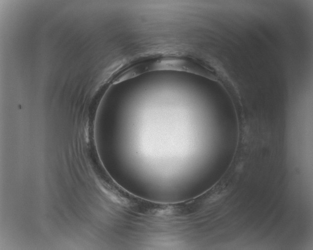 X0000077390068200610272023