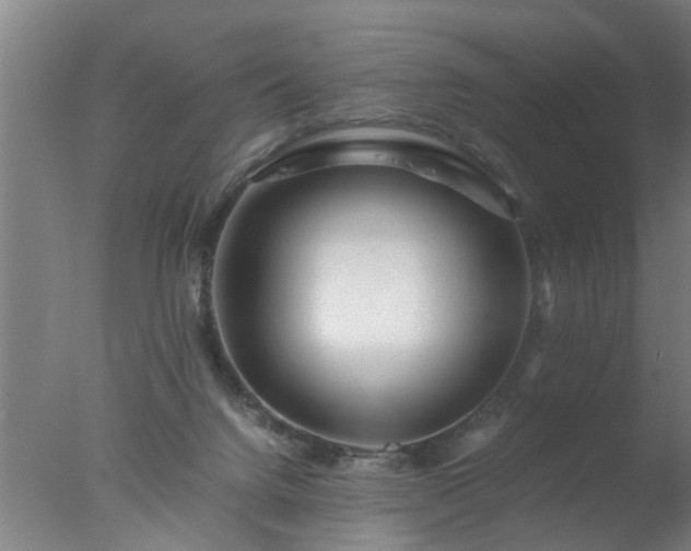 X0000077390072200610272024