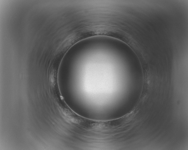 X0000077390074200610272024