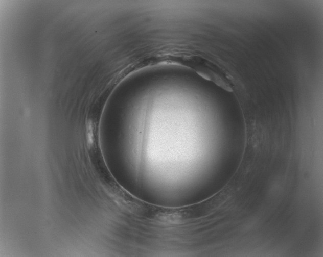 X0000077390075200610272024