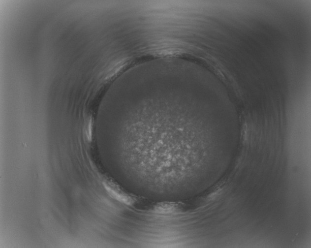 X0000077390076200610272024