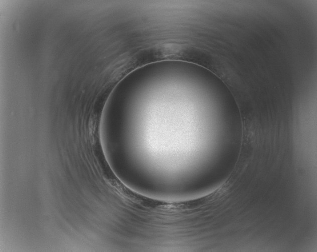 X0000077390082200610272024