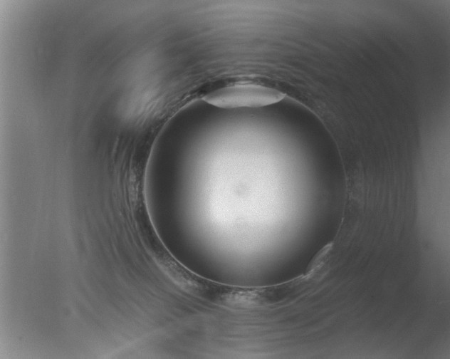 X0000077390086200610272024