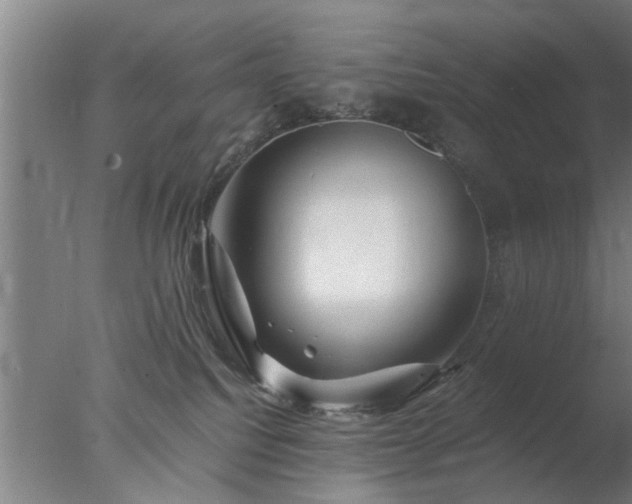 X0000077390088200610272024