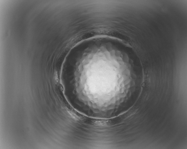 X0000077390089200610272024