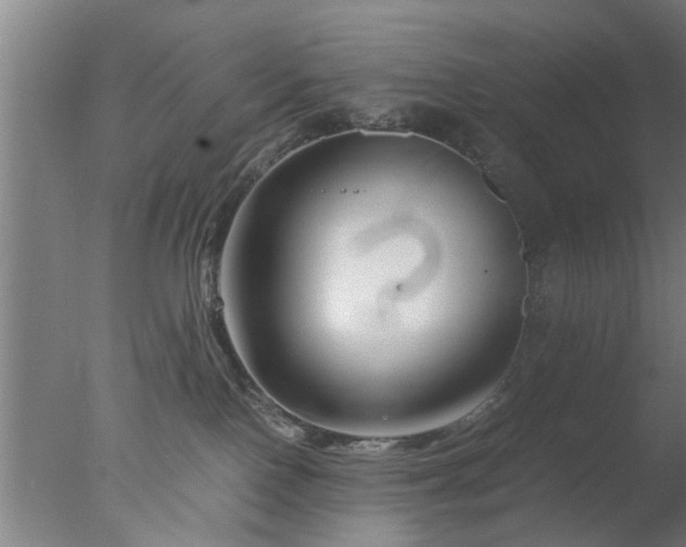 X0000077390090200610272024