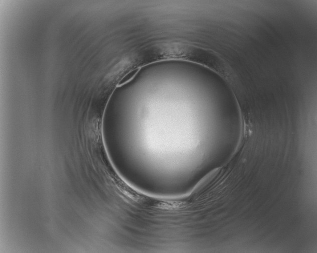 X0000077390093200610272024