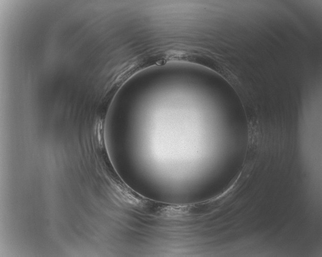 X0000077390094200610272024