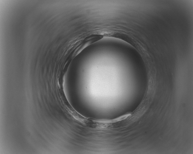 X0000077390096200610272024