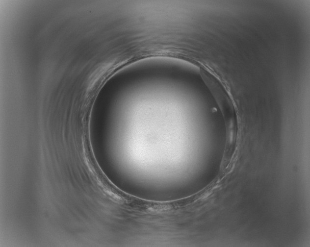 X0000077390097200610272023