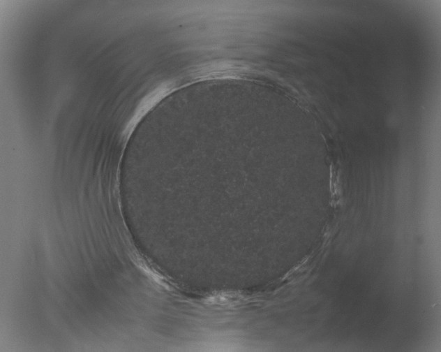 X0000077390099200610272023