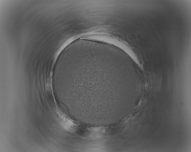 X0000077390100200610272023