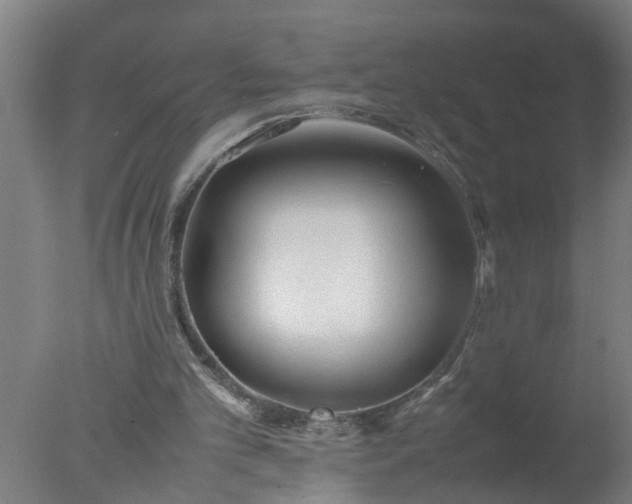 X0000077390101200610272023