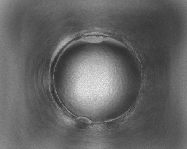 X0000077390102200610272023