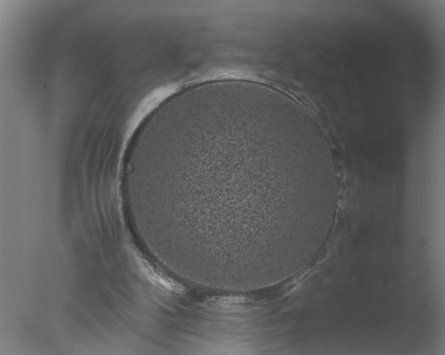 X0000077390104200610272023