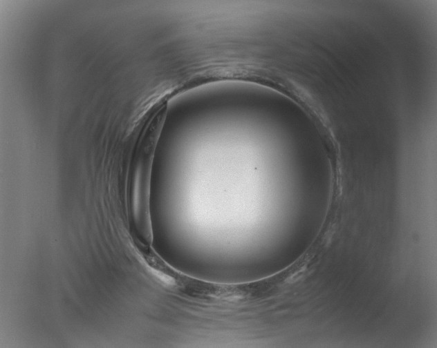 X0000077390105200610272023