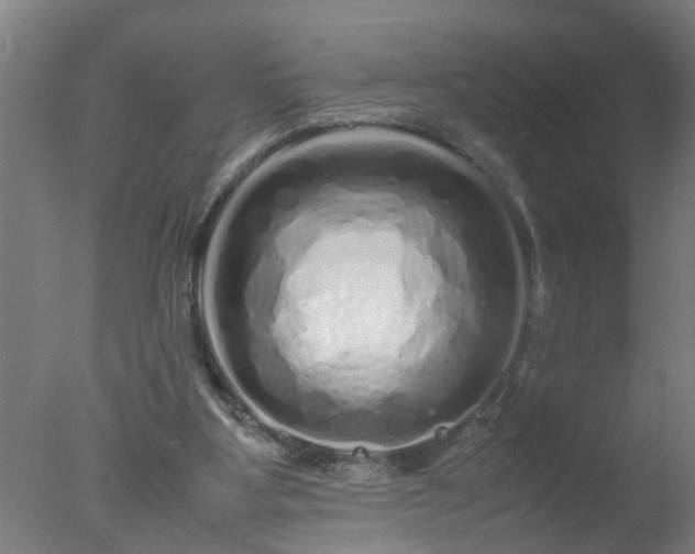 X0000077390107200610272023