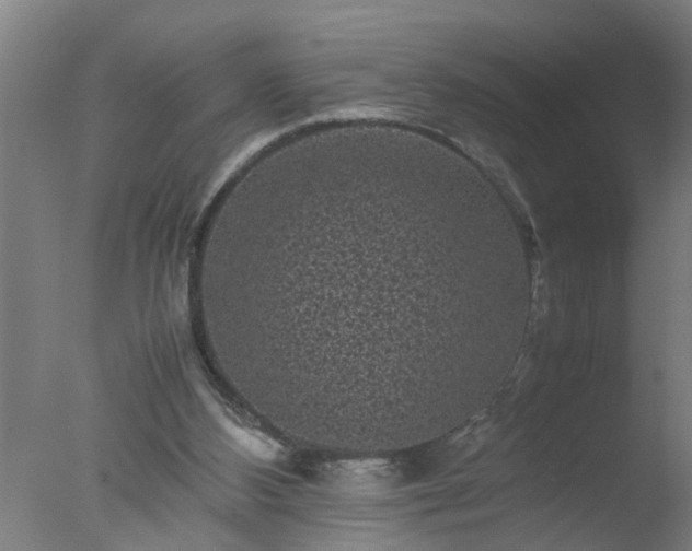 X0000077390108200610272023