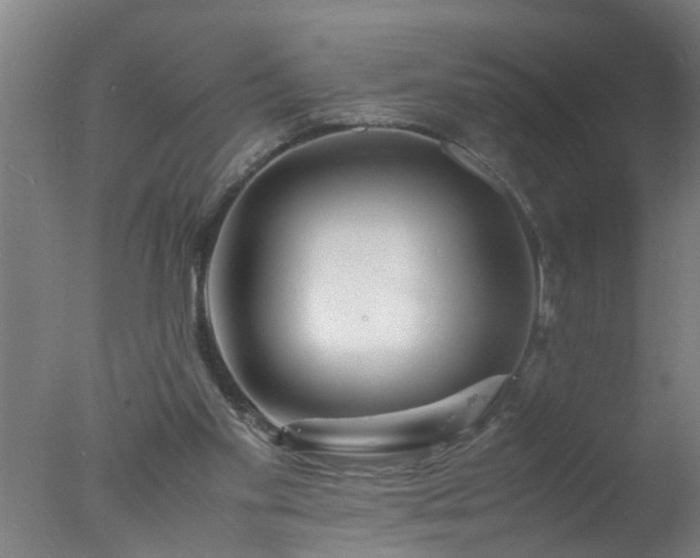 X0000077390109200610272023