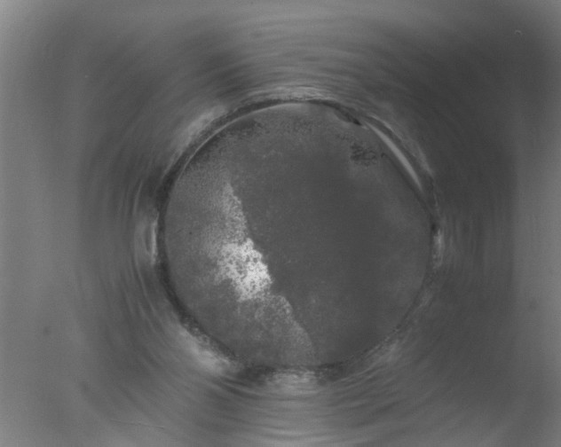 X0000077390110200610272023