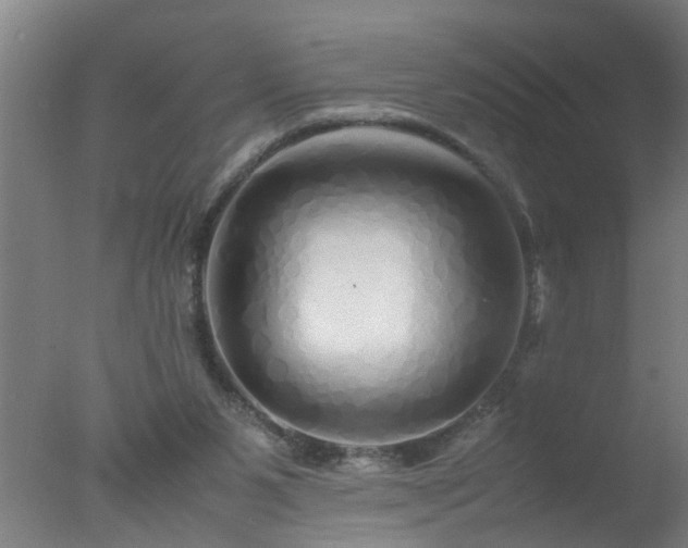 X0000077390111200610272023