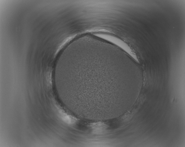 X0000077390112200610272023