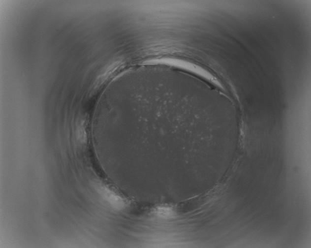 X0000077390114200610272023