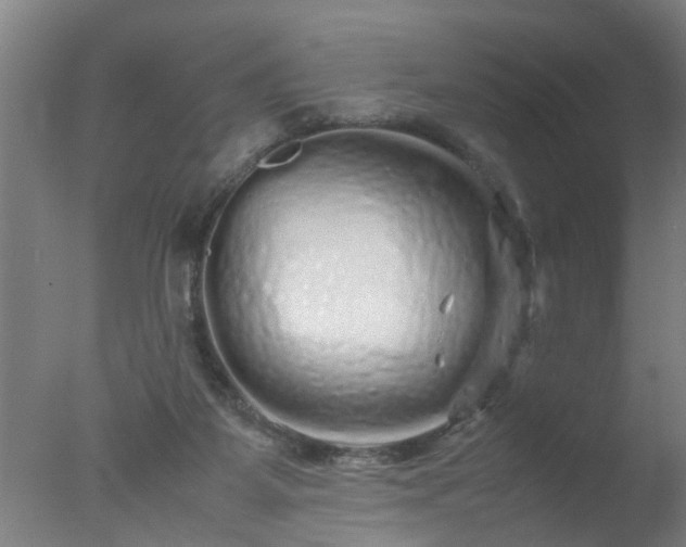 X0000077390115200610272023