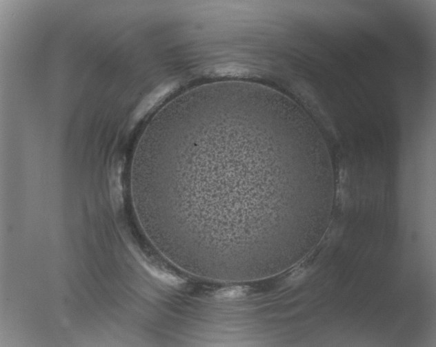 X0000077390116200610272023