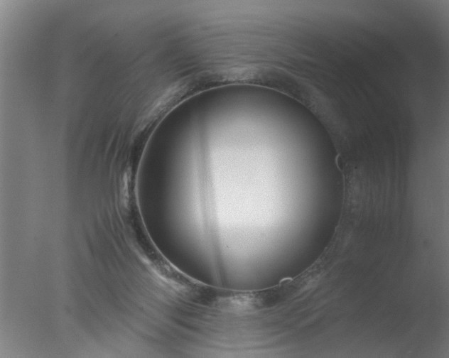 X0000077390118200610272023