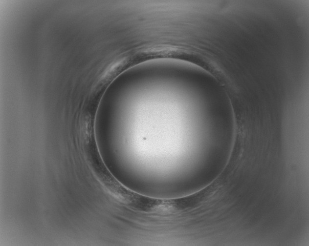 X0000077390119200610272023