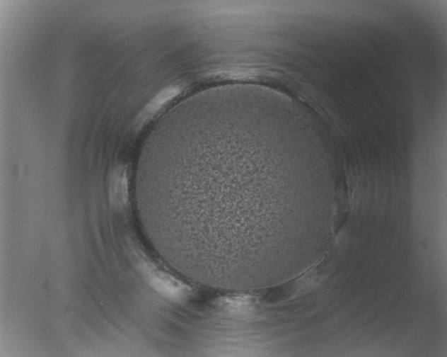 X0000077390120200610272023