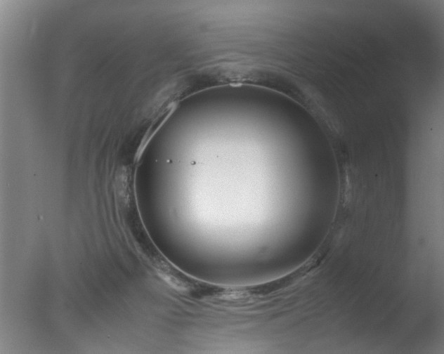 X0000077390121200610272023