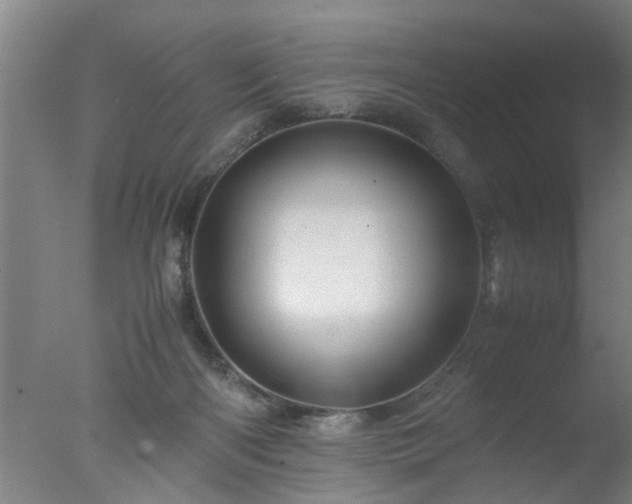 X0000077390122200610272023