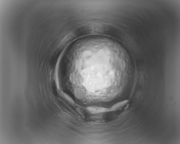 X0000077390123200610272023