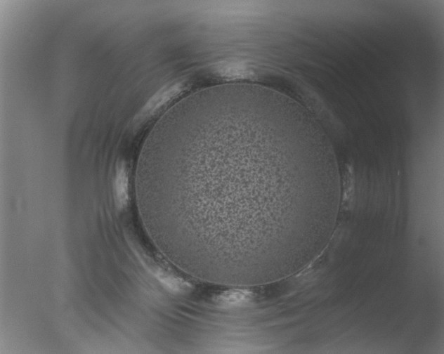 X0000077390124200610272023