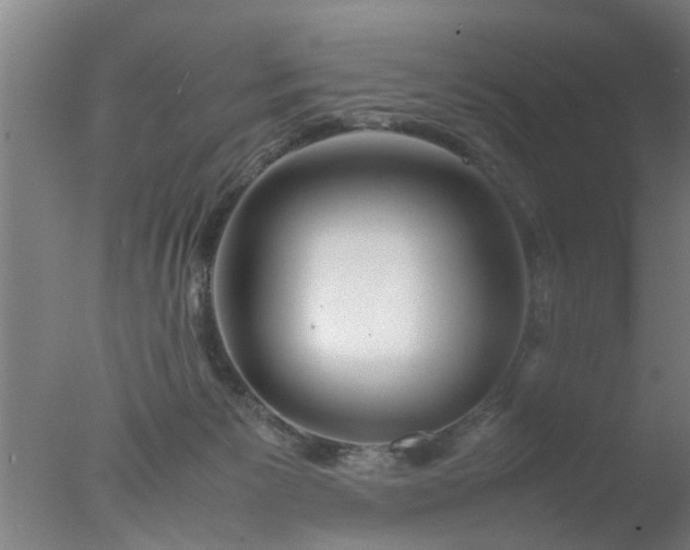 X0000077390125200610272023