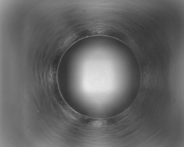 X0000077390126200610272023