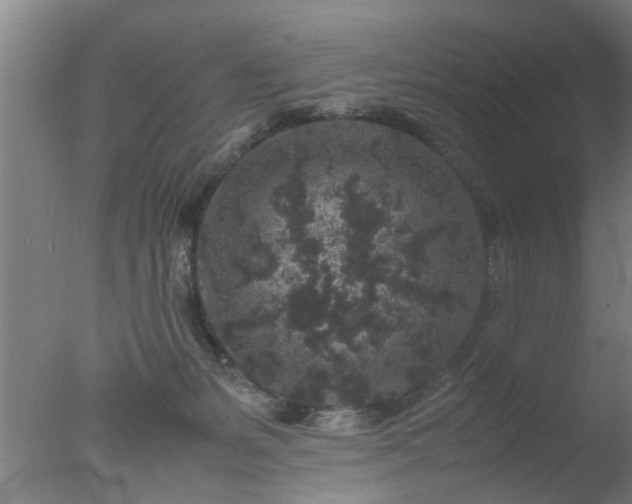 X0000077390127200610272023