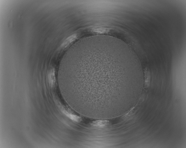 X0000077390128200610272023