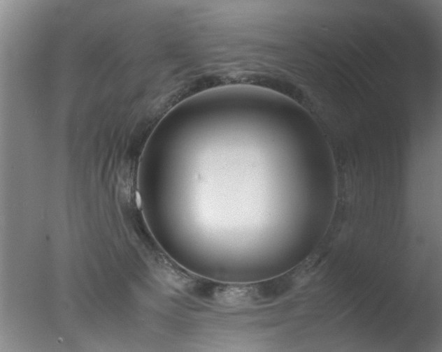 X0000077390129200610272023