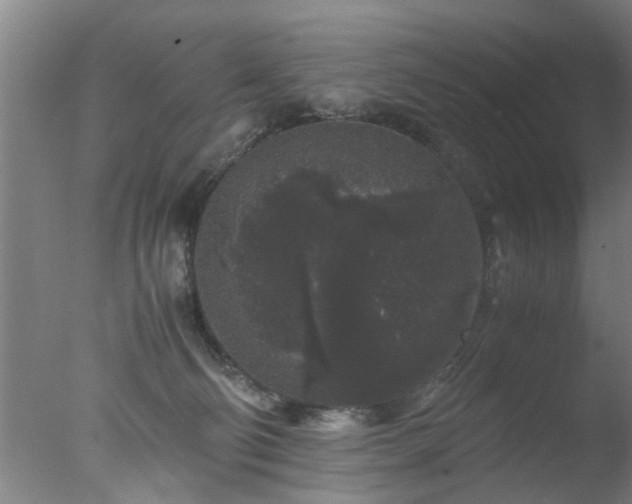 X0000077390130200610272023