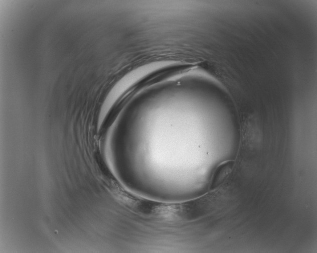 X0000077390131200610272023