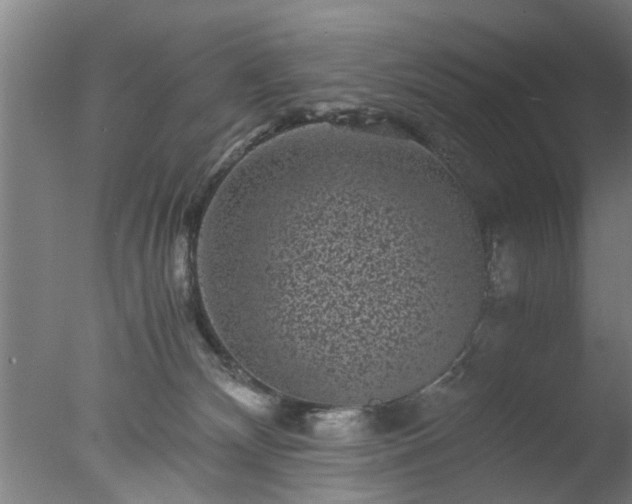 X0000077390132200610272023