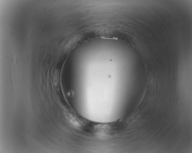 X0000077390133200610272022