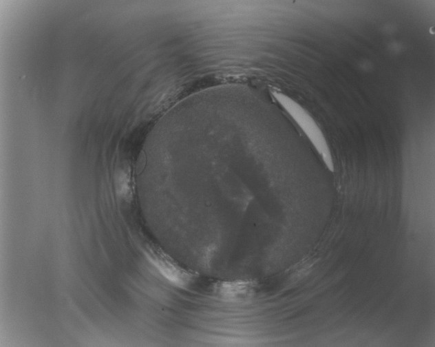 X0000077390134200610272022