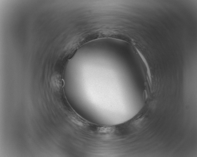 X0000077390135200610272022